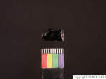 L_V23d1742 J1q701.1 Ux06 dM le f181